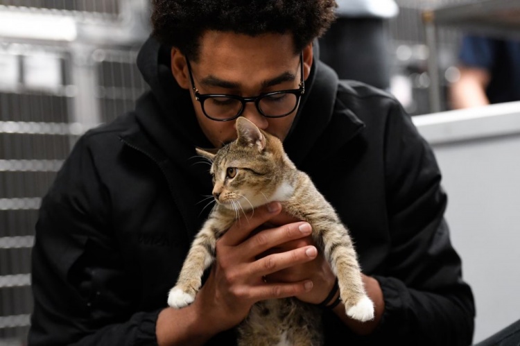 普尔：NBA里养猫的人很多 好色先生TV在线下载有一个秘密的圈子常私下交流